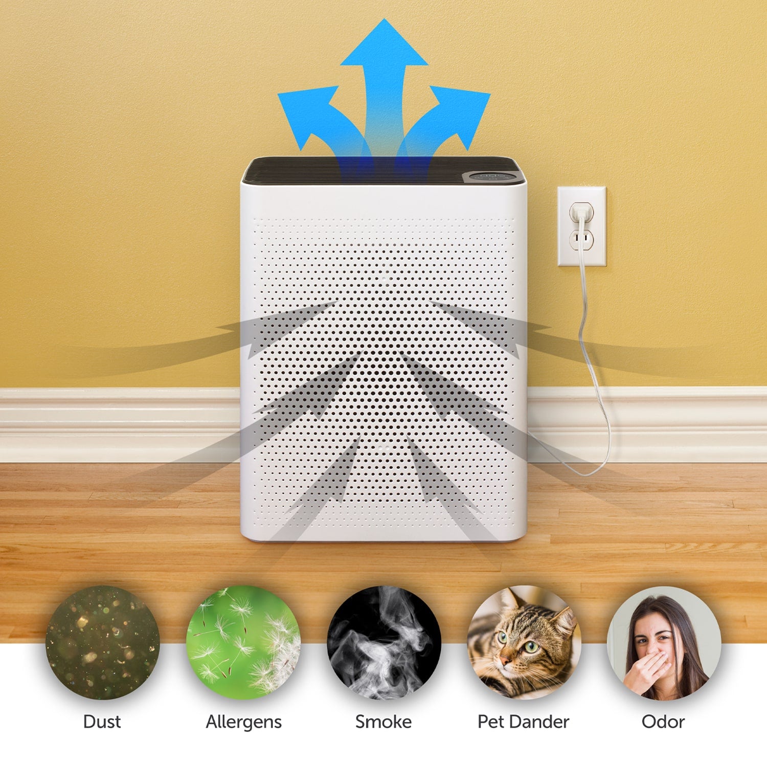 Aluratek HEPA Air Purifier for Mid-Sized Rooms
