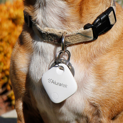 Aluratek Track Tag Location Tracker for iOS Dog Tag