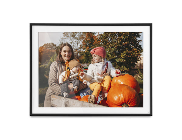 IMA LIVING WITH PHOTOGRAPHY 11冊セット Custom Media Bundles - JCPenney Portraits